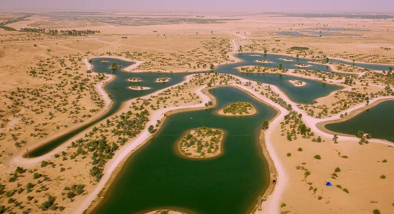 al-qudra-lakes-dubai