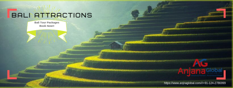 Bali Attraction