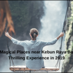 Kebun Raya Bali