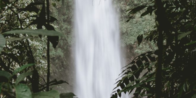 Kebun Raya Bali