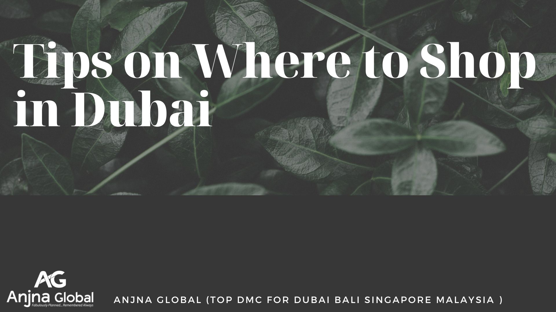 Tips on Where to Shop in Dubai