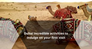 Dubai incredible activities to indulge on your first visit