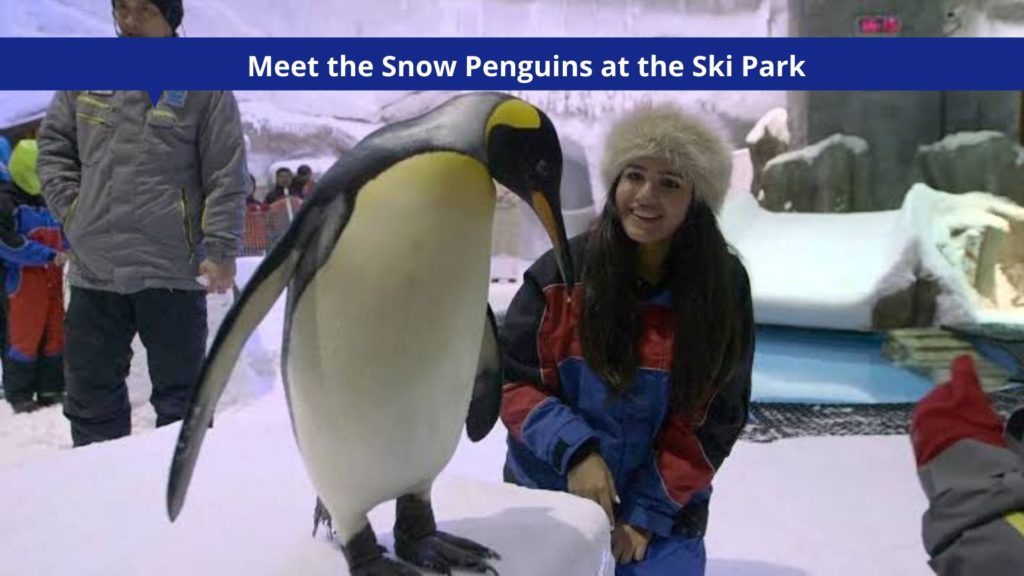Meet the Snow Penguins at the Ski Park