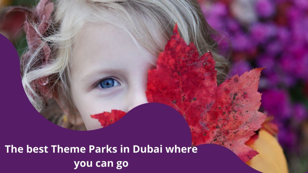The best Theme Parks in Dubai where you can go