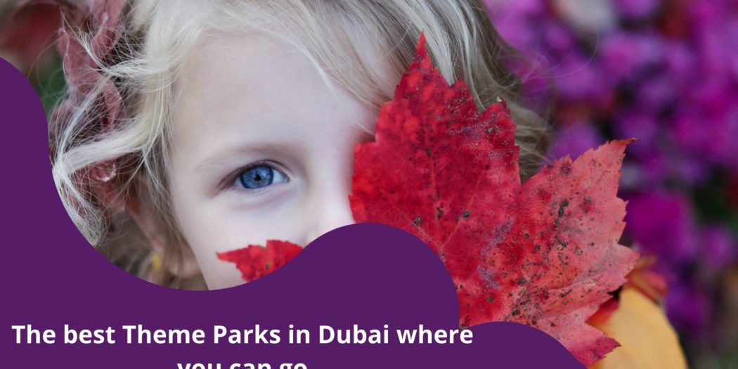 The best Theme Parks in Dubai where you can go