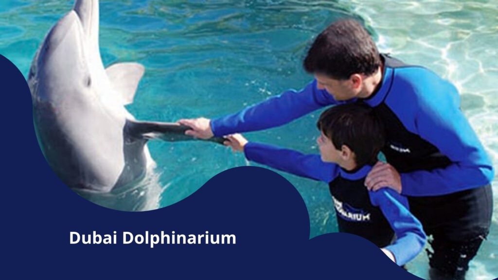 Dubai Dolphinarium