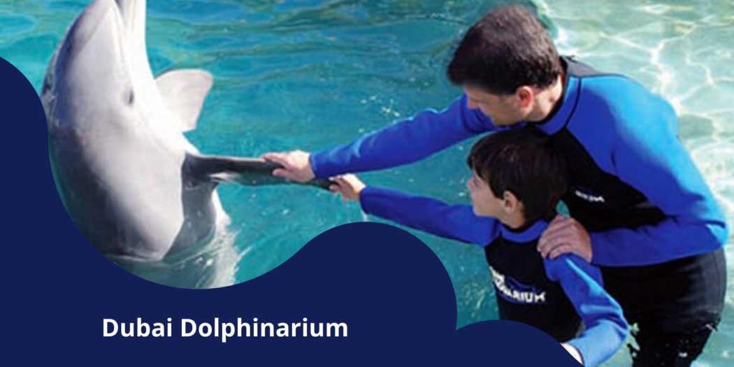 Dubai Dolphinarium