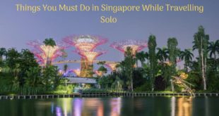 Things You Must Do in Singapore While Travelling Solo