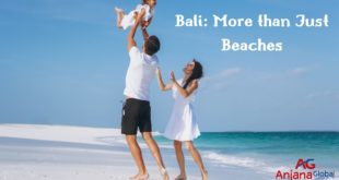 Bali: More than Just Beaches