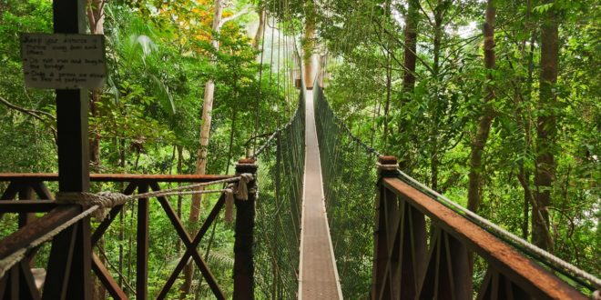 Taman Negara National Park