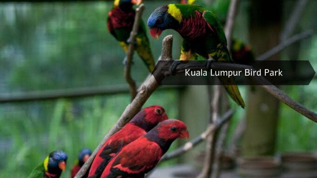 Kuala Lumpur Bird Park