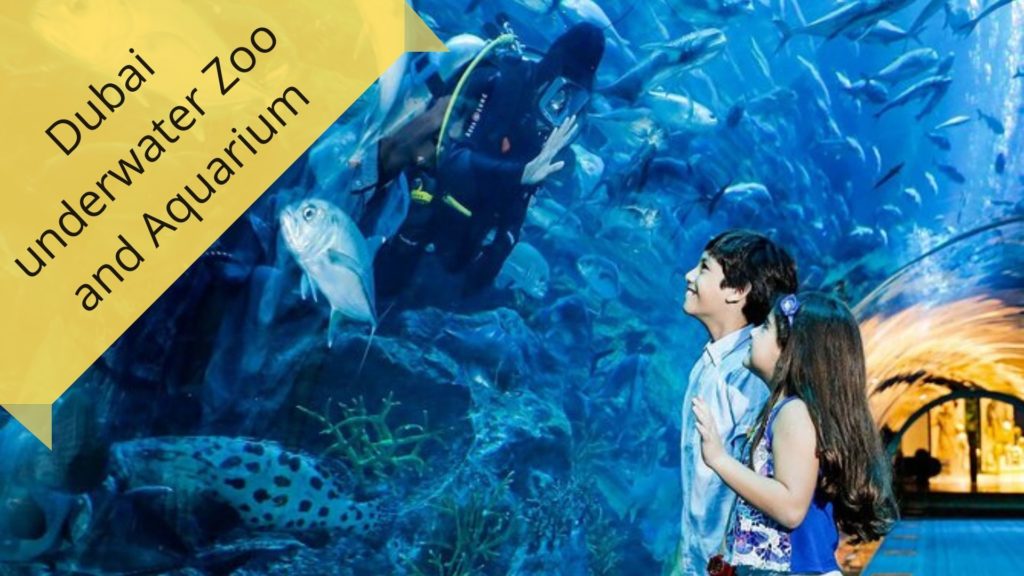 Dubai underwater zoo and aquarium