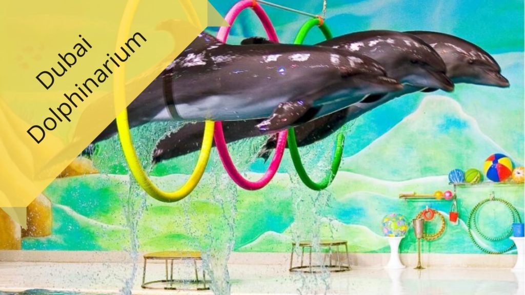 Dubai Dolphinarium