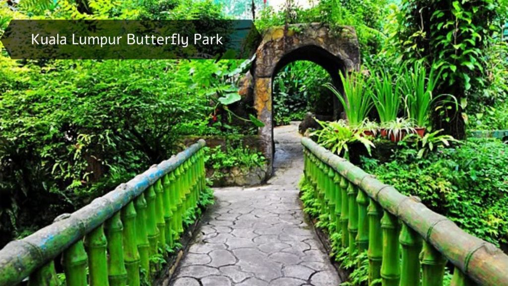 13. Kuala Lumpur Butterfly Park