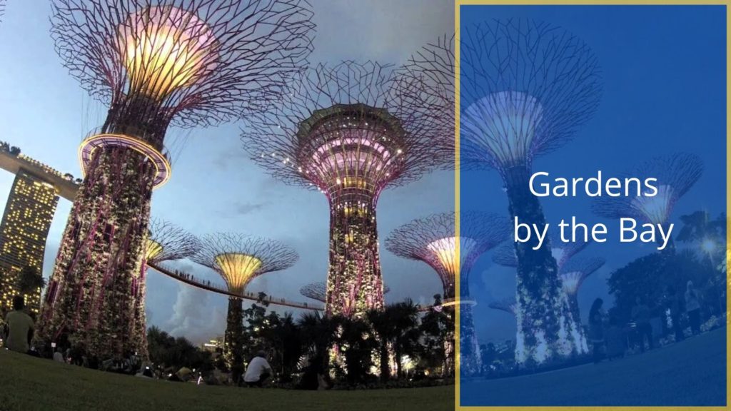 Gardens by the Bay