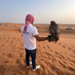 dubai tour