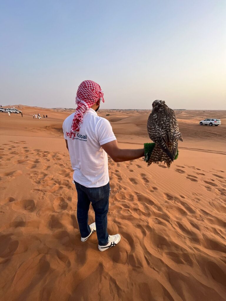dubai tour