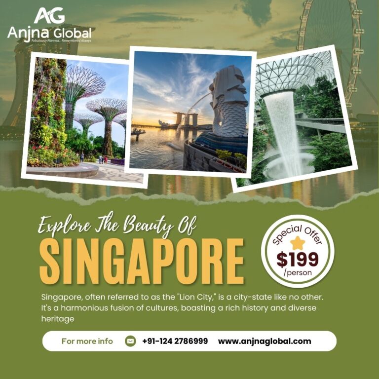 SIGNAPORE DMC