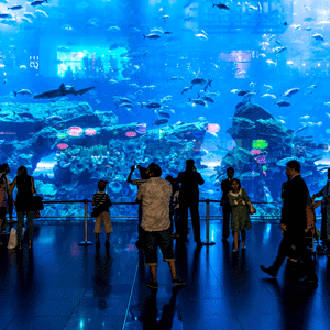 Dubai Aquarium And Under Water Zoo