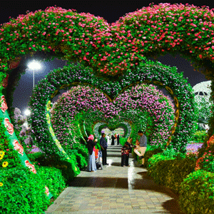 Miracle Garden