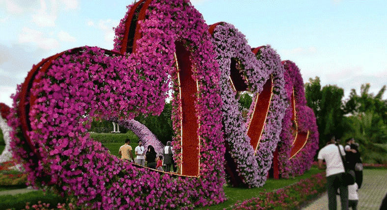 Miracle Garden