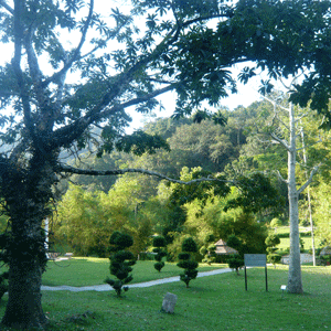 Penang Botanic Garden
