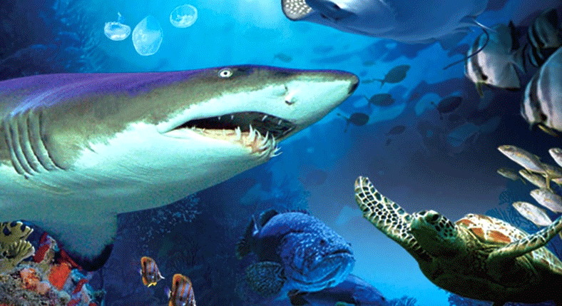 Aquaria KLCC