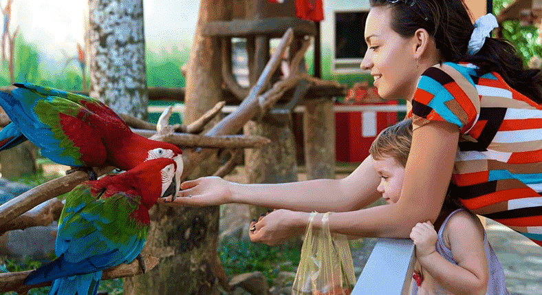 Jurong Bird Park