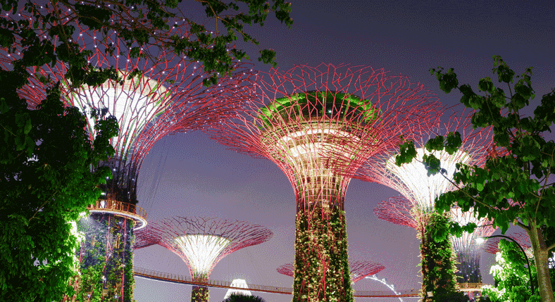 Gardens By The Bay