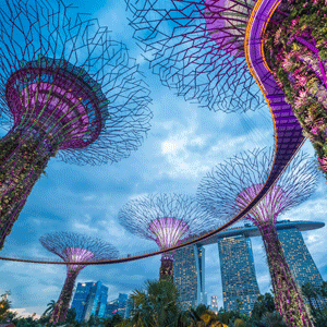 Gardens By The Bay