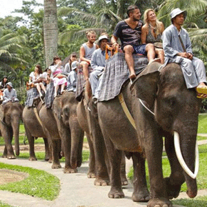 Elephant Ride Tour
