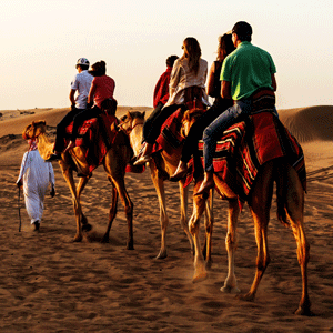 Dubai Evening Desert Safari Tour
