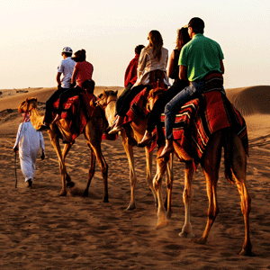 Dubai Evening Desert Safari tour