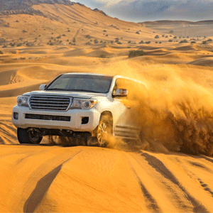 Dubai Morning Desert Safari Tour