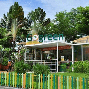 Gogreen Segway Eco Adventure Park