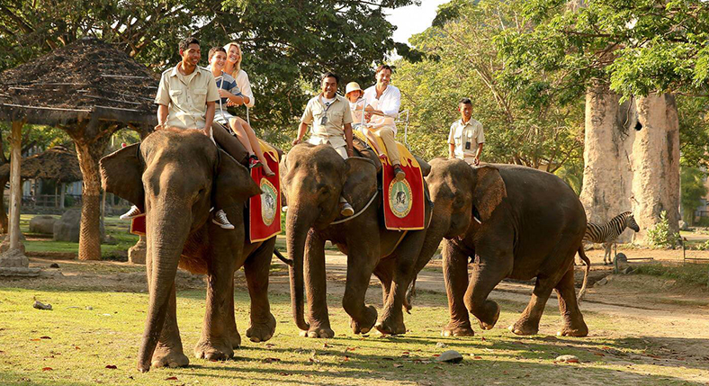 Bali Elephant Ride Tour