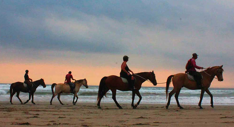 Bali Horse Riding Tour