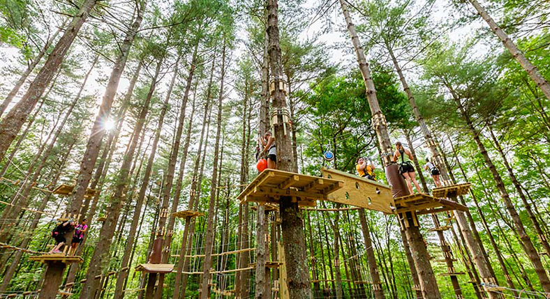 Bali Treetop Adventure Tour