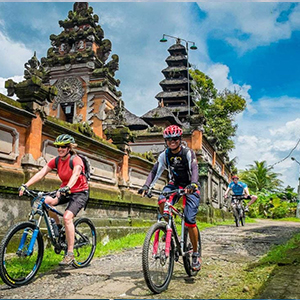 Cycling Tour