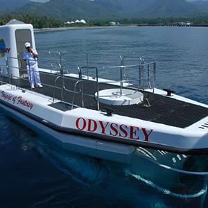 Bali Odyssea Tour