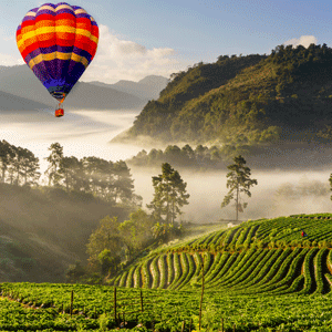 Cameron Highlands City Tour