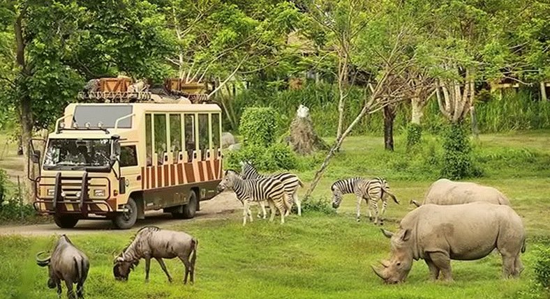 Bali Safari And Marine Park