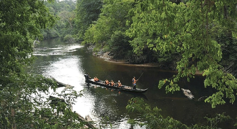 Taman Negara full Day Tours