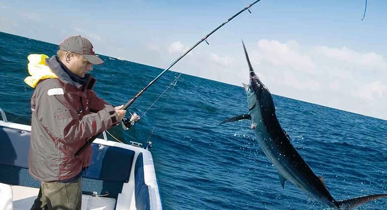 Dubai Fishing Tours