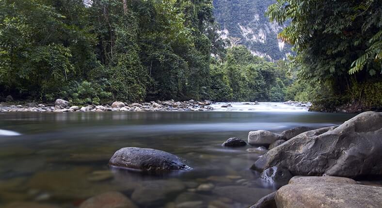 Gunung Mulu National Park Adventure Tours