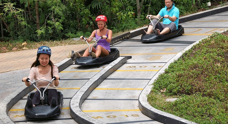 Skyline Luge with Skyride Singapore