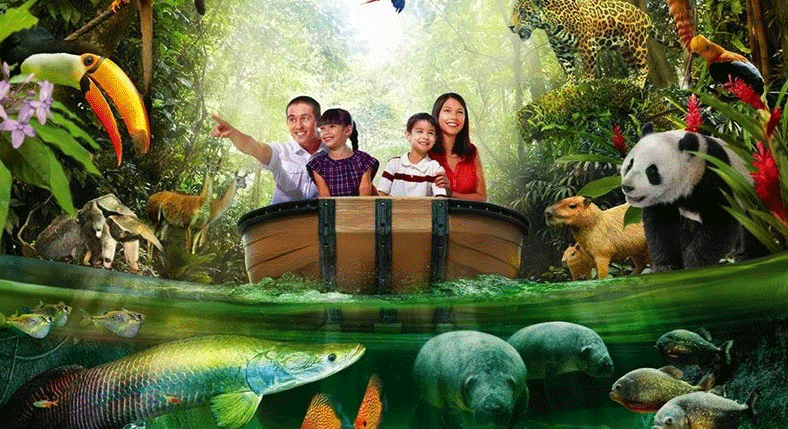 Singapore River Safari Theme Park Tour Package and Tickets